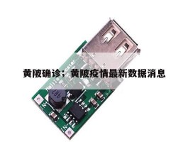黄陂确诊；黄陂疫情最新数据消息