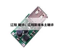 辽阳 确诊；辽阳新增本土确诊