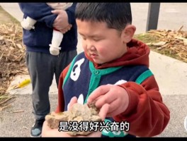 胖虎妈妈的艰辛育儿路：从绝望到希望，胖虎能否重获新生？