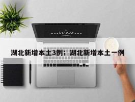湖北新增本土3例；湖北新增本土一例