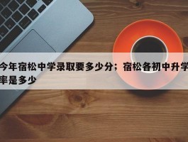 今年宿松中学录取要多少分；宿松各初中升学率是多少