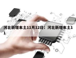 河北新增本土11月12日；河北新增本土11