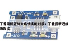 丁香园新冠肺炎疫情实时时报；丁香园新冠疫情数据