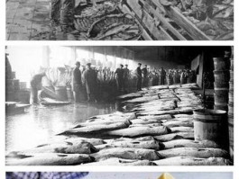 欧洲高温下的厨师困境：西西里岛的炎热夏日与劳动者艰辛？