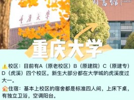 探寻大学城首府：理想生活与文化氛围交融的独特之地