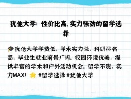 犹他大学与网易合作前景：学术共研、文化交流及深远影响？