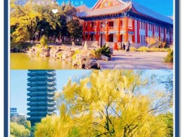 漫步北大校园，感受学术香气与历史文化底蕴交融之美