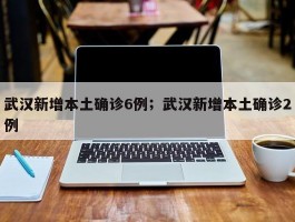 武汉新增本土确诊6例；武汉新增本土确诊2例