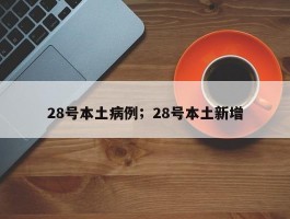 28号本土病例；28号本土新增