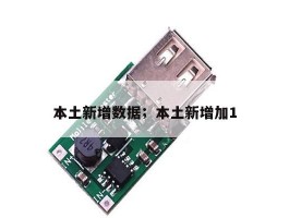 本土新增数据；本土新增加1