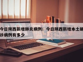 今日陕西新增肺炎病例；今日陕西新增本土确诊病例有多少