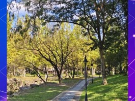 浙江农林大学东湖拍照，定格晨曦下的宁静与美好