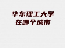 这所城市卓越大学，教学实力强且重创新，资源投入大