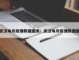 武汉每月疫情数据图表；武汉每月疫情数据图