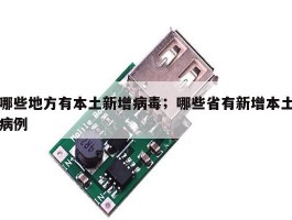 哪些地方有本土新增病毒；哪些省有新增本土病例