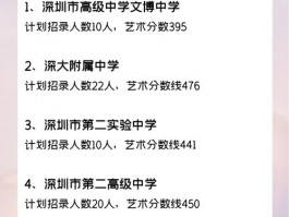 深圳高中艺术学校录取分数线引关注，其重要性你知道多少？