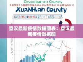 宣汉最新疫情数据图表：宣汉最新疫情数据图