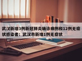 武汉新增3例新冠肺炎确诊病例和12例无症状感染者；武汉市新增1例无症状