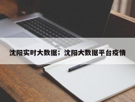 沈阳实时大数据；沈阳大数据平台疫情