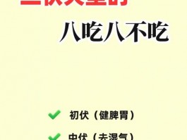三伏天酷热难耐？除了饺子面条，还有这些饮食风俗讲究