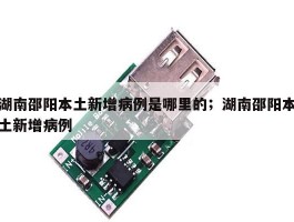 湖南邵阳本土新增病例是哪里的；湖南邵阳本土新增病例