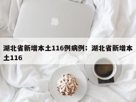 湖北省新增本土116例病例；湖北省新增本土116