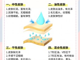 不容忽视的皮肤知识：结构、肤质类型及日常护理要点