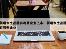 新增本土品牌有哪些企业上市；新增本土品牌有哪些企业