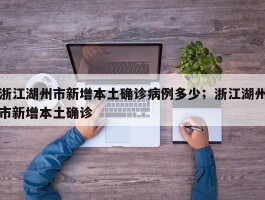 浙江湖州市新增本土确诊病例多少；浙江湖州市新增本土确诊