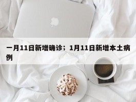 一月11日新增确诊；1月11日新增本土病例