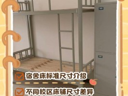 宁波大学宿舍床尺寸揭秘，适配用品与舒适考量全知道