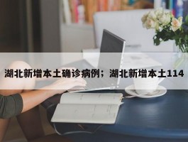 湖北新增本土确诊病例；湖北新增本土114
