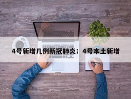 4号新增几例新冠肺炎；4号本土新增