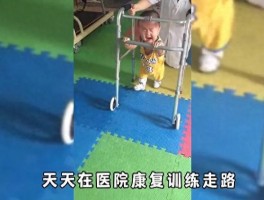 胖虎一家令人动容，妈妈的耐心陪伴与不放弃让人敬佩