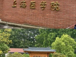 医学类一本高校大揭秘！上海交通大学医学院、复旦大学上海医学院排名详情