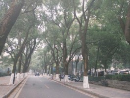 河海大学道路：贯穿校园的纽带，藏在校园的宁静漫步小径