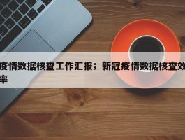 疫情数据核查工作汇报；新冠疫情数据核查效率