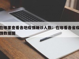 在哪里查看各地疫情确诊人数；在哪看各省疫情数据图