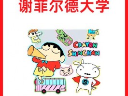 谢菲尔德大学土木工程专业实力卓越，为学生提供广阔发展平台