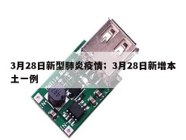 3月28日新型肺炎疫情；3月28日新增本土一例