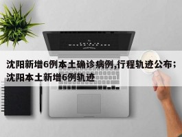 沈阳新增6例本土确诊病例,行程轨迹公布；沈阳本土新增6例轨迹