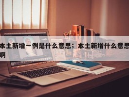 本土新增一例是什么意思；本土新增什么意思啊