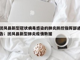 团风县新型冠状病毒感染的肺炎防控指挥部通告；团风县新型肺炎疫情数据