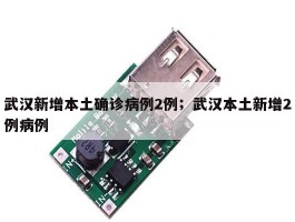 武汉新增本土确诊病例2例；武汉本土新增2例病例