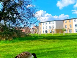 西英格兰大学校园环境超赞！自然风光迷人，还有小型湖泊