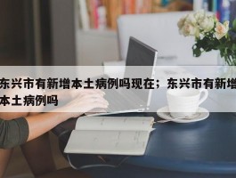 东兴市有新增本土病例吗现在；东兴市有新增本土病例吗