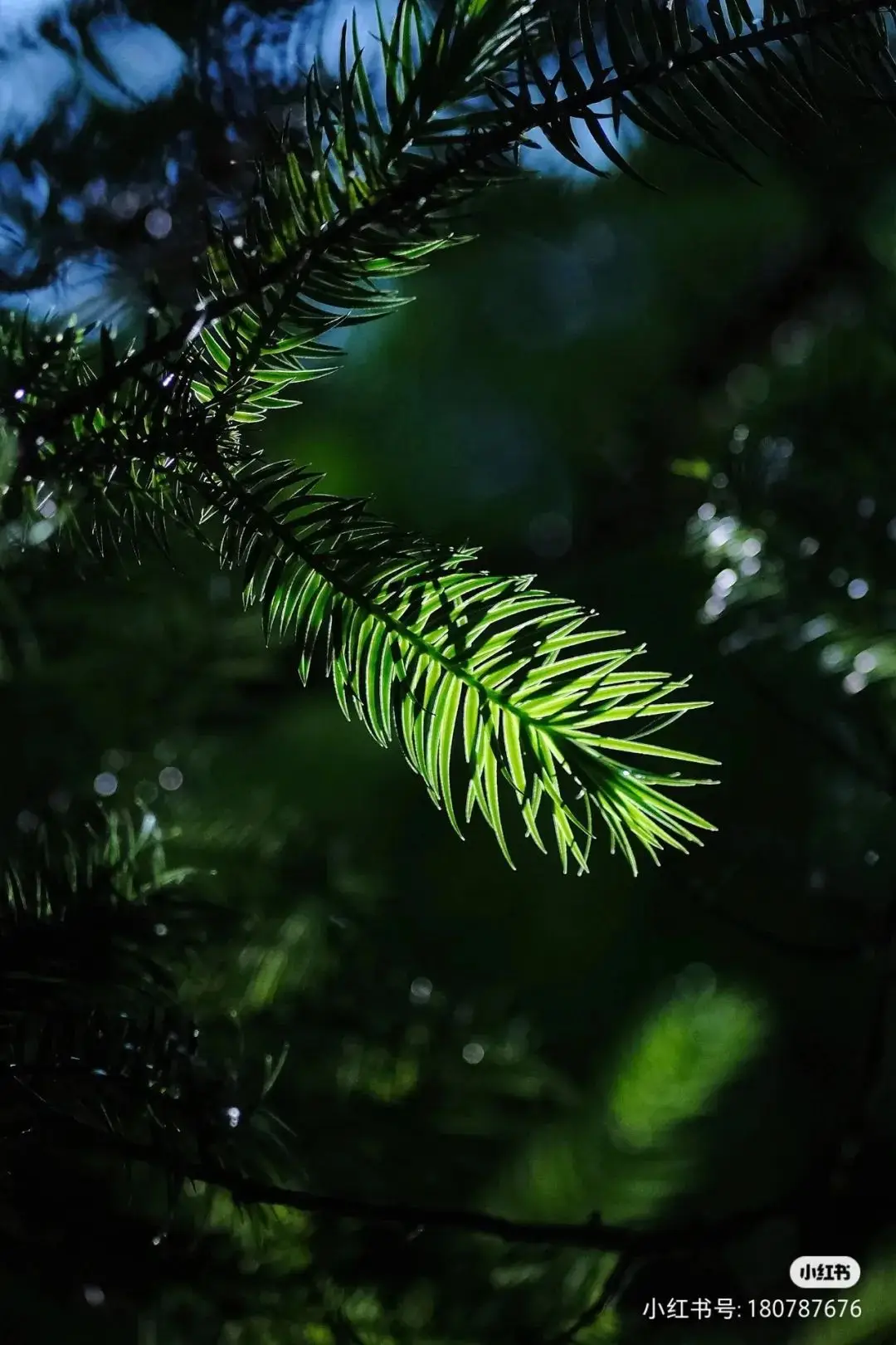 _均温21℃！成都高铁直达的山水奇绝小城，最美村落塞外古城，地道风味吃到撑！_均温21℃！成都高铁直达的山水奇绝小城，最美村落塞外古城，地道风味吃到撑！