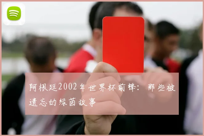 阿根廷2002年世界杯前锋：那些被遗忘的绿茵故事