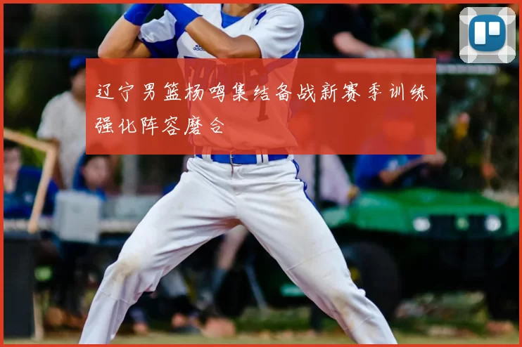 辽宁男篮杨鸣集结备战新赛季训练强化阵容磨合