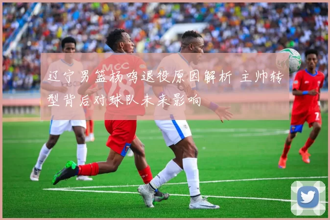 辽宁男篮杨鸣退役原因解析 主帅转型背后对球队未来影响